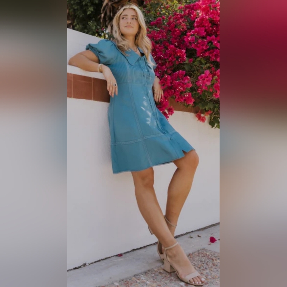 Logan Rae X Roolee Blue Mini Dress - Picture 5 of 5